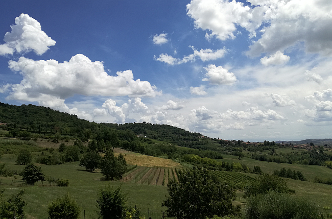 AZIENDA AGRICOLA GAROGLIO DAVIDE | VILLADEATI (AL)